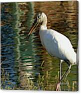 Stork On Rippled Waters Canvas Print
