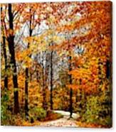 Stowe Path In Fall Colors Canvas Print