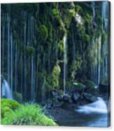 Stream In Green Forest Canvas Print