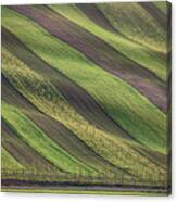 Stripes In The Fields Canvas Print