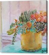 Succulent Color Canvas Print