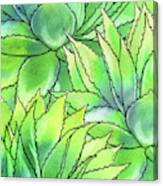Succulent Garden Watercolor Composition I Canvas Print