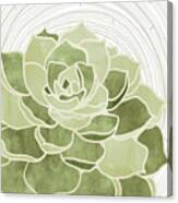 Succulents 1 F Canvas Print