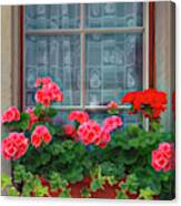 Summer Geraniums In The Window Painting Canvas Print