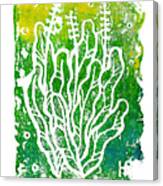 Summer Herbs, Green Yellow Canvas Print