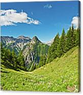 Summer Meadow Mountain Alpine Flowers Canvas Print