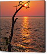 Suncatcher -  Dead Tree Grasps The Rising Sun At Cave Point Park In Door County Wi Canvas Print
