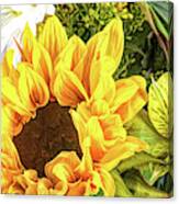 Sunflower Arrangement Canvas Print