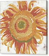 Sunflower Iv Canvas Print