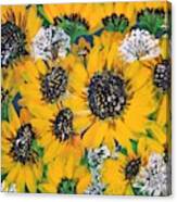 Sunflowers And Queen Ann Lace Large Print Version Canvas Print
