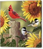 Sunflowers And Songbirds Canvas Print