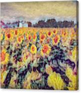 Sunflowers Surround The Farm Canvas Print