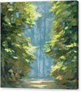 Sunlit Forest Blue Crop Canvas Print