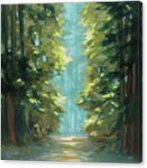 Sunlit Forest Canvas Print