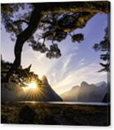 Sunny Day In Milford Sound Canvas Print