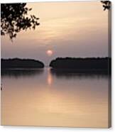 Sunrise Above The Mangroves Canvas Print