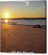 Sunrise At The Beach Canvas Print