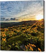 Sunrise In The Gorge Canvas Print