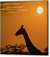 Sunrise Over The Etosha National Park, Namibia Canvas Print