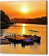 Sunset @ Macritchie Reservoir Canvas Print