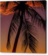 Sunset At The Palm Canvas Print
