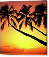 Sunset At Tropical Beach, Barbados Canvas Print