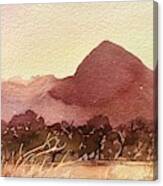 Sunset Golden Meadow Canvas Print
