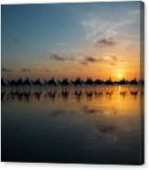 Sunset In Broome Canvas Print