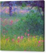 Sunset In Flower Meadow Canvas Print