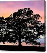 Sunset Silhouette Canvas Print