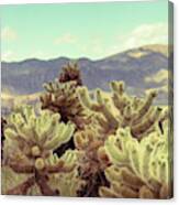 Super Bloom Cactus 7380 Canvas Print