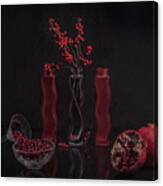 Sweet Pomegranate Canvas Print