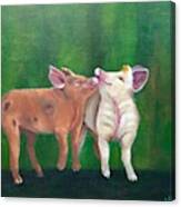 Swine Snuggles Canvas Print