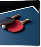 Table Tennis Bats And A Ball On A Table Canvas Print