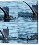 Tail Fin Of Whale In Water, Montage Canvas Print
