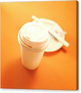 Take Away Coffee Cup And Empty Plate Canvas Print