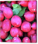 Tangy Red Root Canvas Print