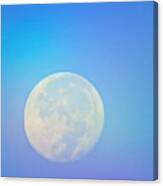 Taurus Almost Full Moon Blend Canvas Print