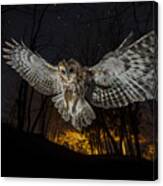 Tawny Owl And The False Fire Canvas Print