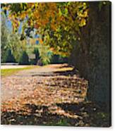 Tawonga The Path To General Store Canvas Print