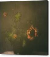 Tears Of Sunflower Canvas Print