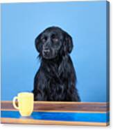 Teddy With The Yellow Cup Canvas Print