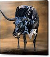 Texas Long Horn Canvas Print
