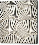 Texture Sea Shells Canvas Print