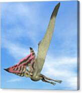 Thalassodromeus Prehistoric Bird Flying Canvas Print