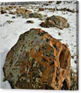 The Book Cliff's Colorful Boulders Canvas Print
