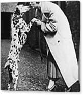 The Dalmatian Dog Kissing Its Owner Canvas Print