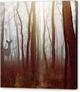 The Deer In The Fog By Joni Eskridge Canvas Print