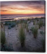 The Dunes In The Sunset Light Canvas Print