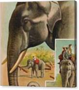 The Elephant Circa 1900 Canvas Print